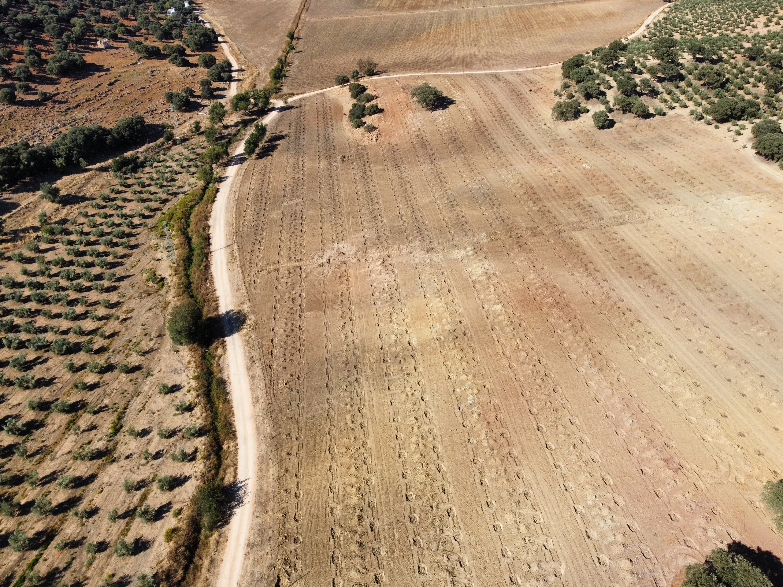 Finca de Archidona con el terreno preparado en hileras para una nueva plantación de olivos, vista aérea